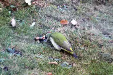 image002.webp