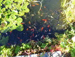 DSC00707.JPG