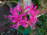 DSC00709.JPG