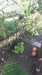 20191017_123255.jpg