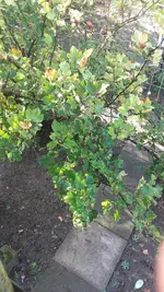 20191017_123314.webp