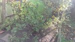 20191017_123417.jpg