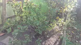 20191017_123417.webp
