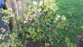 20191017_123449.webp