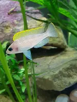 20190816_183112.webp