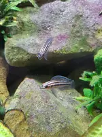 20190816_182900.webp