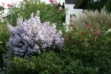 Oktober  0319.webp