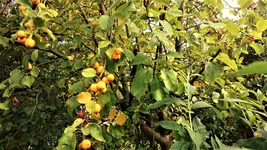 DSC_1413 (2).webp