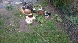 IMG-20190908-WA0001 (3).webp