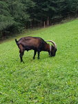20180904_145424.jpg