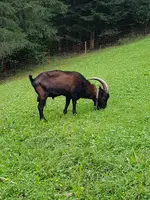 20180904_145424.webp