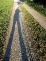 DSCN8602.webp