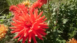 DSC_1093 (3).webp