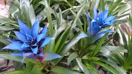 DSC_0122 (2).webp
