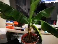 IMG-20191018-WA0000.webp