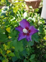 20191014_110614.webp