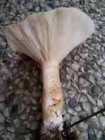 20191018_103755.webp