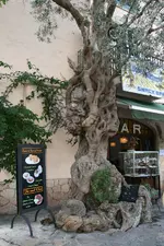 Valdemossa0818.webp