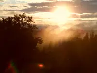 SAM_3914.webp