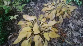 DSC_1297 (2).webp