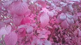 DSC_1347 (2).webp