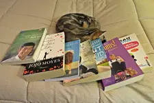 IMG_7355 v (2).webp
