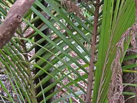 IMG_7495 v (2).webp