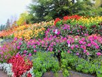 DSCF3076 (2).JPG
