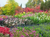 DSCF3078 (2).webp