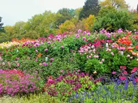 DSCF3079 (2).webp