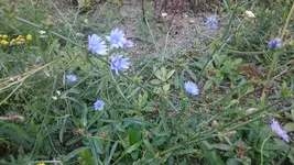 DSC_1158 (3).webp