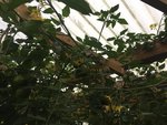 IMG_3557.JPG