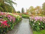 DSCF3107 (2).JPG