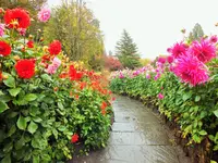 DSCF3109 (2).webp