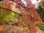 DSCF3074.JPG
