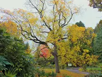 DSCF3083 (2).webp