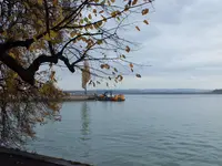 DSCF3085 (2).webp