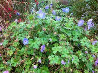 DSCF3192 (2).webp