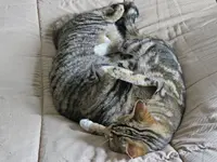 IMG_6673 v (2).webp