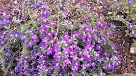 DSC_1431 (2).webp