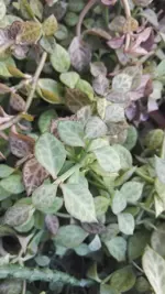 IMG_20191022_110415.webp