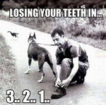 Losing-your-teeth-in.jpg