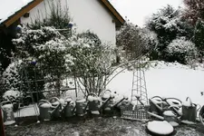 Winter0816.webp