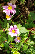 20191020_123537.webp