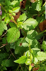 20191022_214803.webp