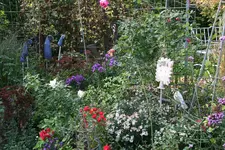 Oktober  0219.webp