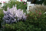 Oktober  0319.JPG
