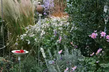 Oktober  0419.webp