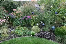 Oktober  0719.webp