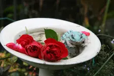 Oktober  1119.webp